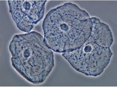 Schermafbeelding 2020-07-12 om 13.01.34