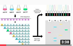 Screen Shot 2019-09-09 at 15.15.11