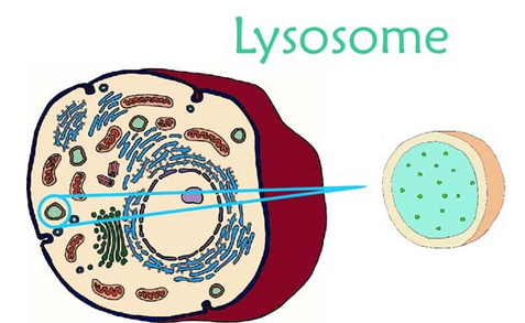 Schermafbeelding 2020-09-29 om 11.30.47