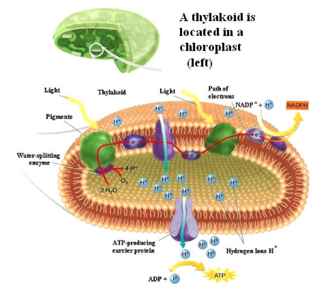 Screen Shot 2017-09-17 at 12.02.59