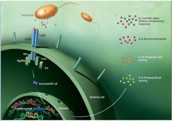 Schermafbeelding 2020-08-11 om 11.57.42