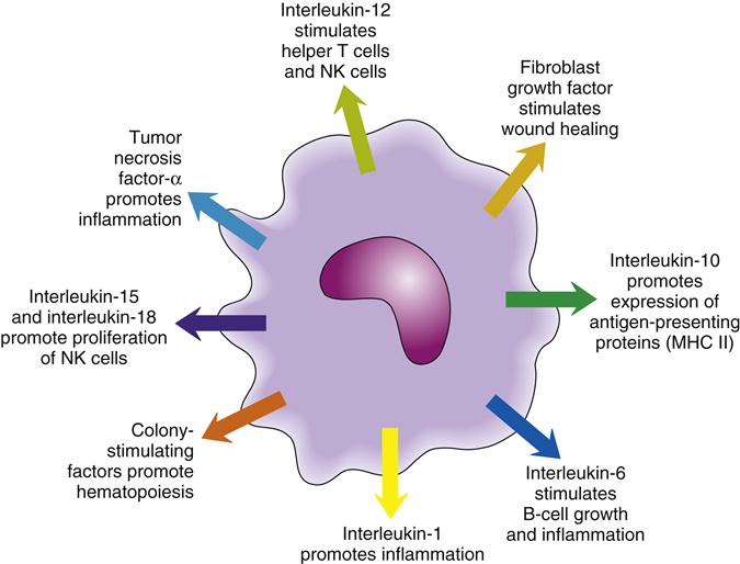 F000097f09-09-9781455726509
