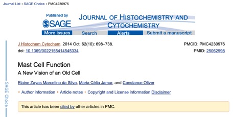 Schermafbeelding 2020-08-15 om 11.13.55