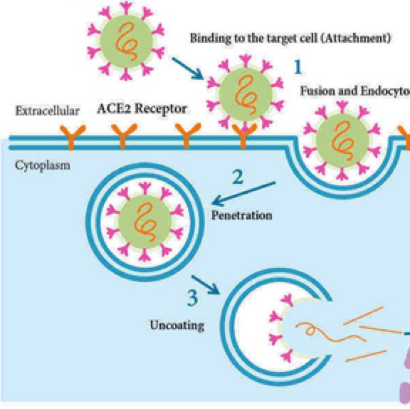 Schermafbeelding 2020-08-26 om 23.03.00