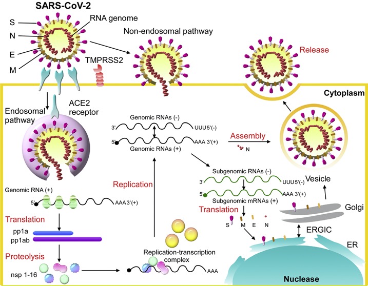 1-s2.0-S2319417020300445-gr2_lrg