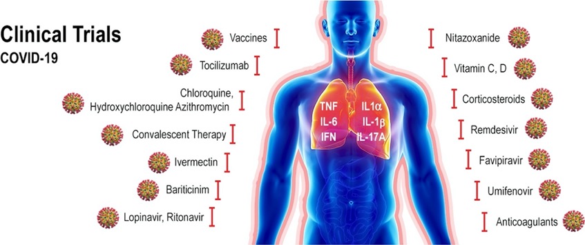 1-s2.0-S0753332220306867-ga1_lrg