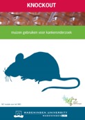 Schermafbeelding 2020-08-11 om 15.54.39